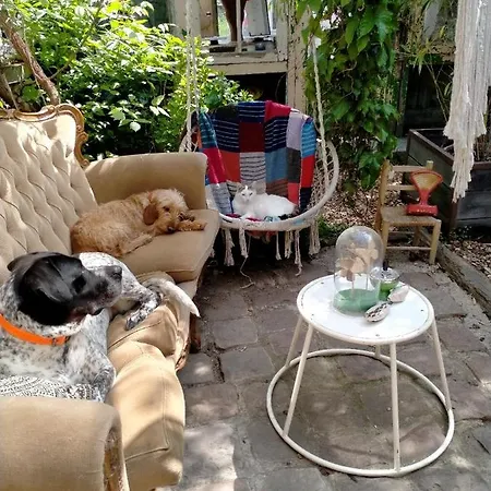 Bed and Breakfast Mimi La Sardine Saint-Gervais en-Belin