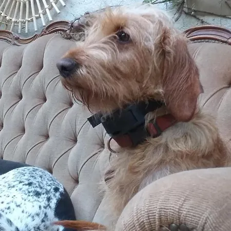 Mimi La Sardine Frühstückspension 3*