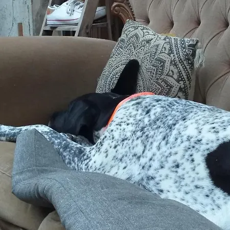 Frühstückspension Mimi La Sardine Saint-Gervais en-Belin