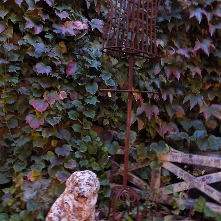 Mimi La Sardine Frühstückspension 3*