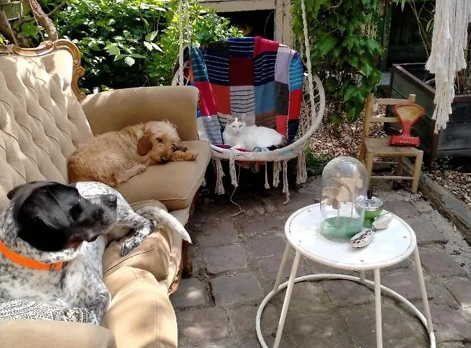 Bed & Breakfast Mimi La Sardine Saint-Gervais en-Belin