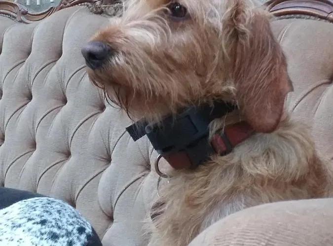 Mimi La Sardine Bed & Breakfast 3*