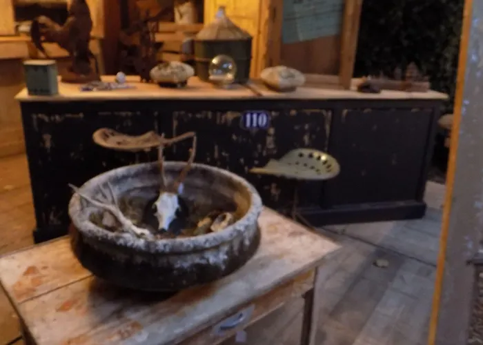 Bed & Breakfast Mimi La Sardine