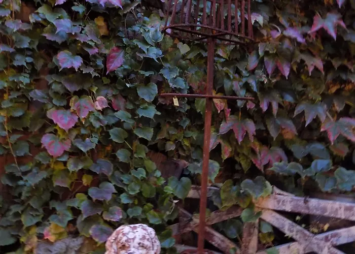 Mimi La Sardine Bed & Breakfast 3*