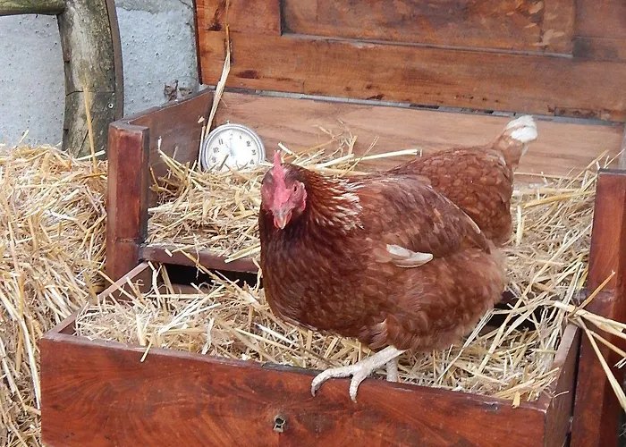 Bed & Breakfast Mimi La Sardine