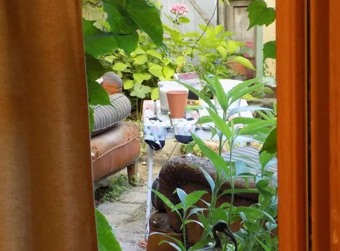 Mimi La Sardine Bed & Breakfast 3*